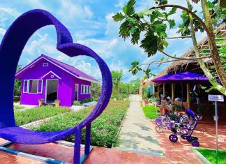 Check in góc sống ảo tuyệt vời tại ngôi nhà màu tím tại Cần Thơ Check in góc sống ảo tuyệt vời tại ngôi nhà màu tím tại Cần Thơ