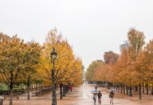 Tổng hợp những kinh nghiệm du lịch Pháp mùa thu từ A - Z